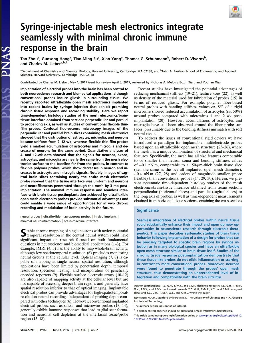 Ꭰ Ꮖ Ꭱ Ꭲ N Ꮜ P 🪦 tweet media