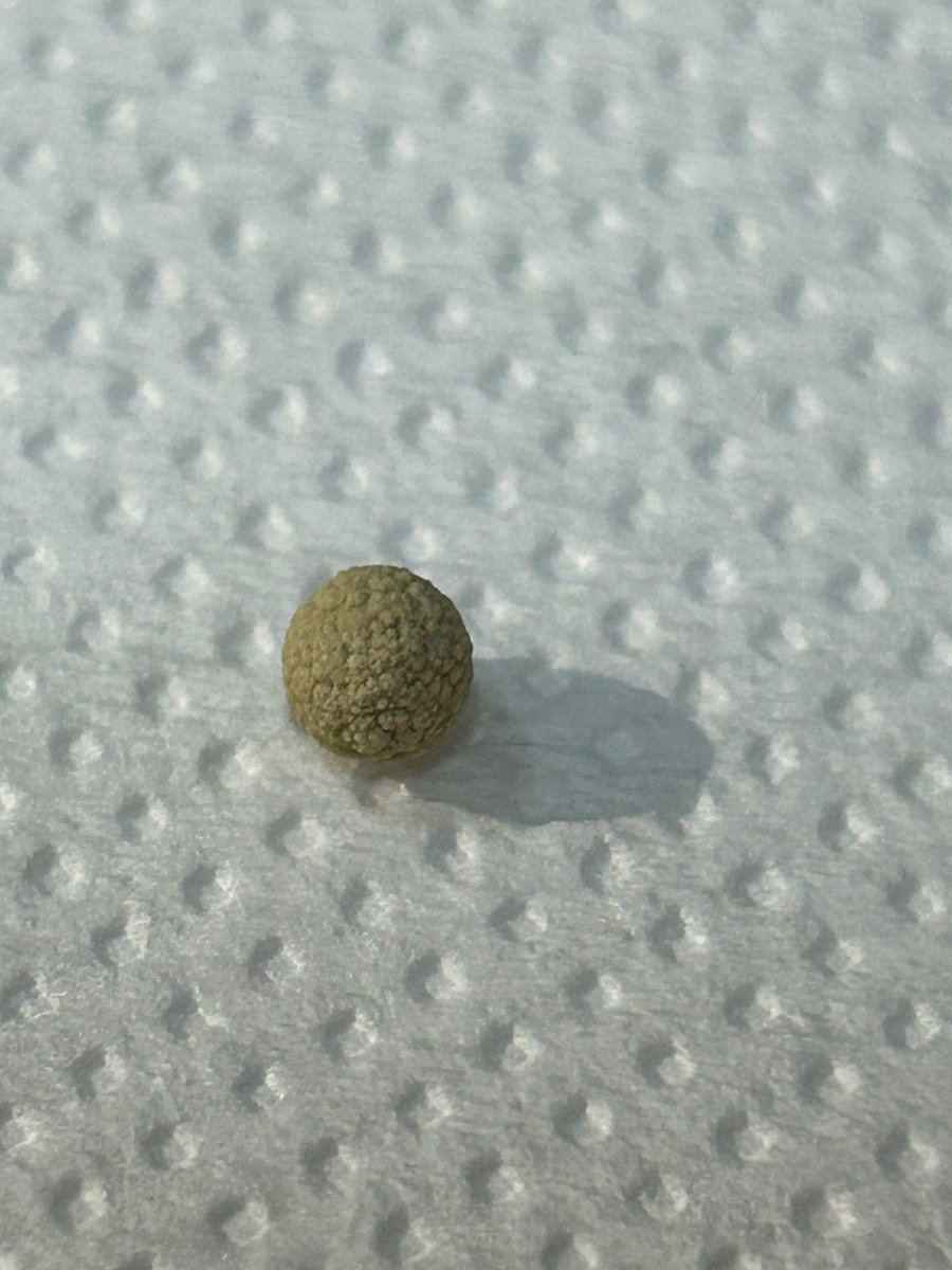 VetGurus tweet media