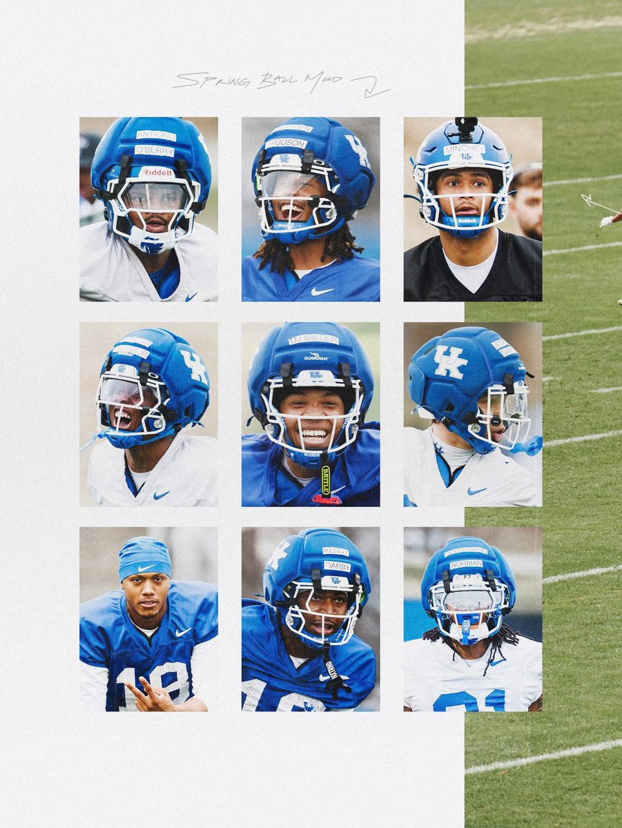 Steins Studs tweet media