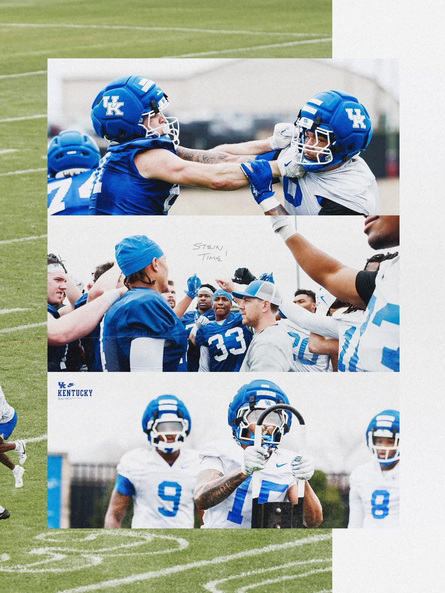 Steins Studs tweet media