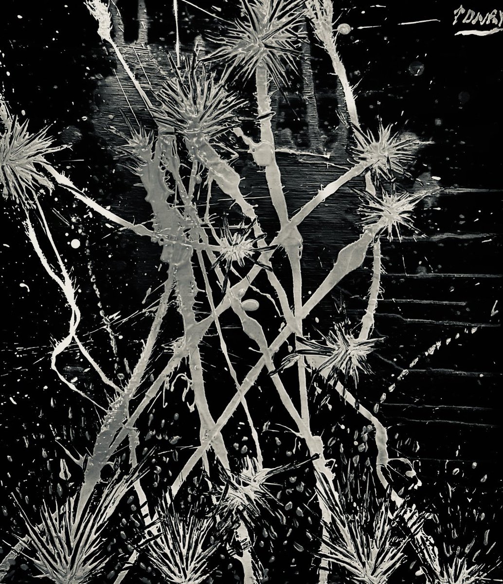 ᛏ𝙴𝙻𝙳𝙴𝚁𝙸𝙻𝙺ᛉ © tweet media