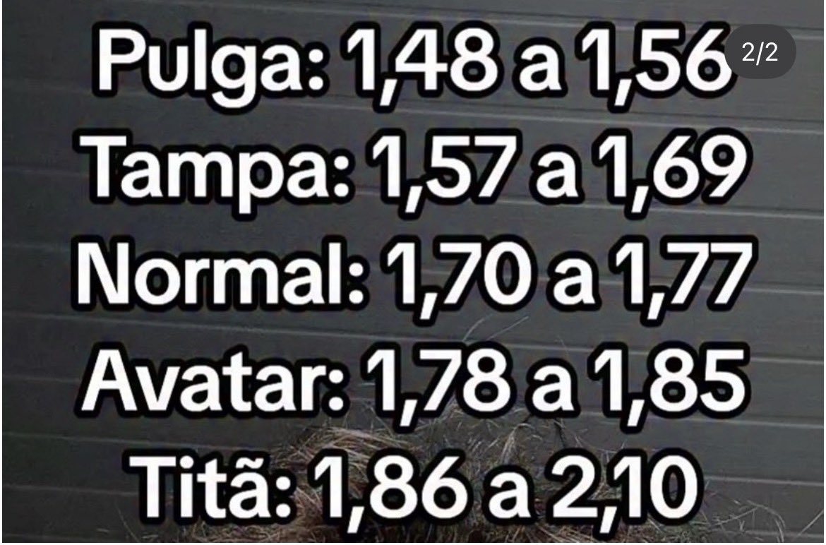 baiana de molho tweet media