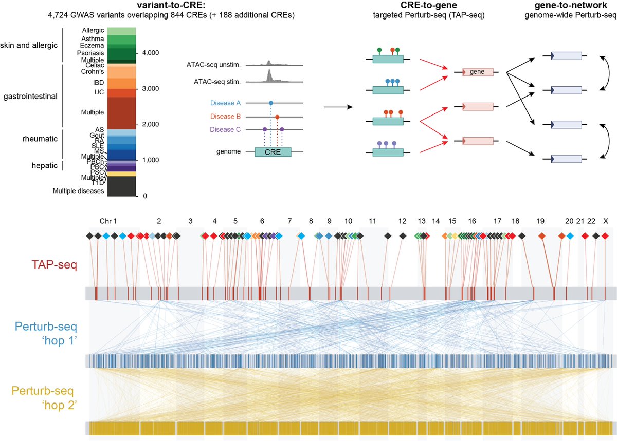 Annique Claringbould tweet media