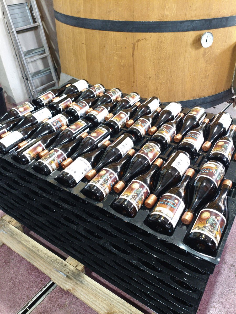 Reverendo Igor tweet media