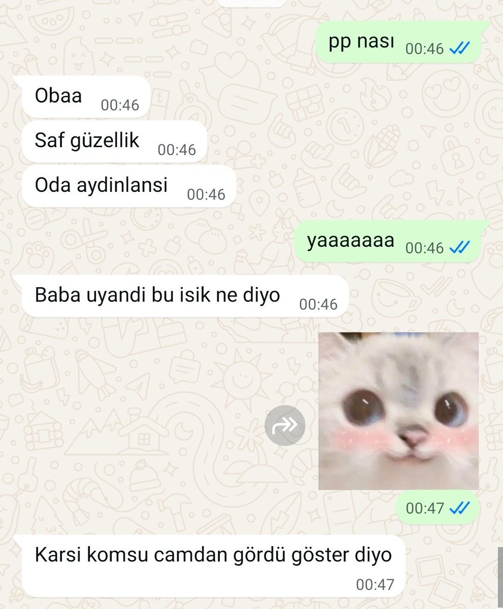 Ayşenur 🇵🇸 tweet media