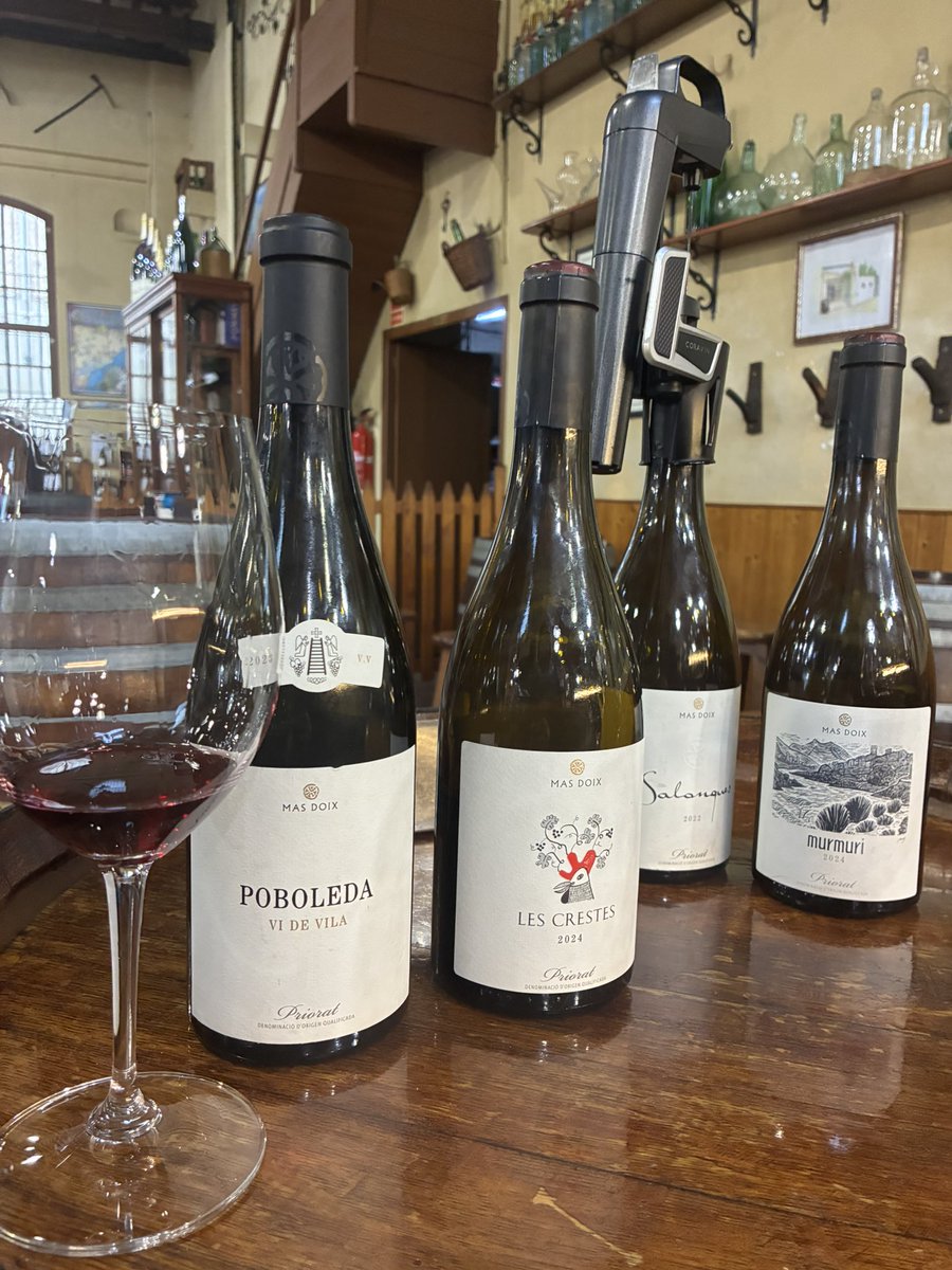 Montse plans tweet media