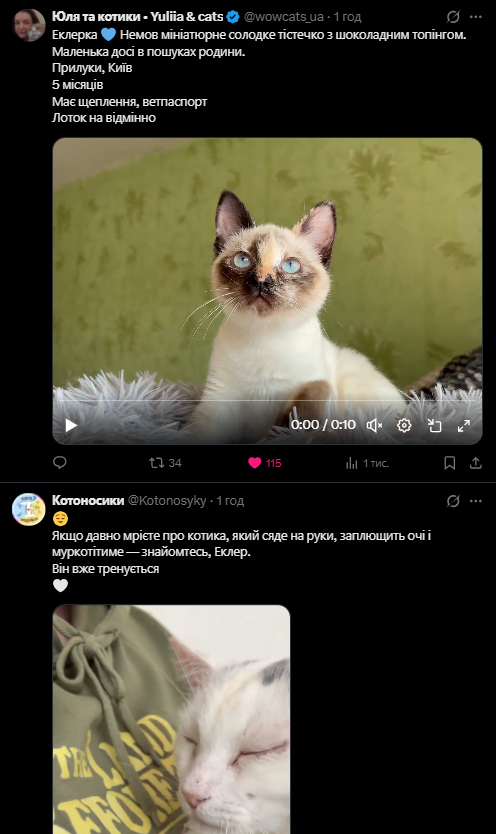 Еклерка й Еклер 💕