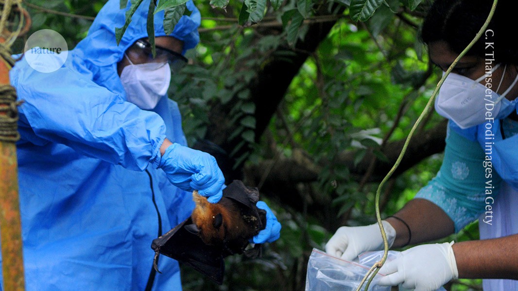 Bloodsucking Parasites tweet media