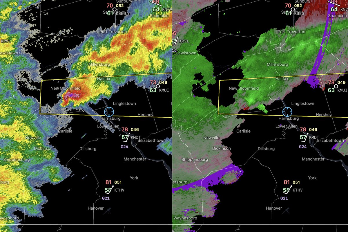 Ed Russo tweet media