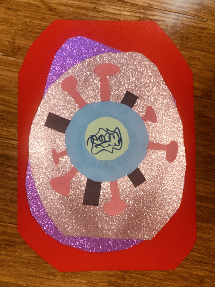 Shaw Sebastian tweet media