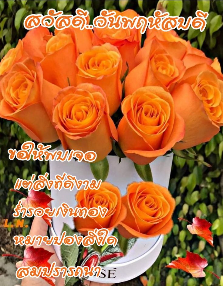 boybank1's tweet image. #Helloday #hellothursday #thursdaymorning  #Thursday #สวัสดีวันพฤหัสบดี #สวัสดีวันพฤหัสบดีแสนสุข #สวัสดีวันพฤหัสบดีที่สดใส #วันพฤหัสบดีสีส้ม