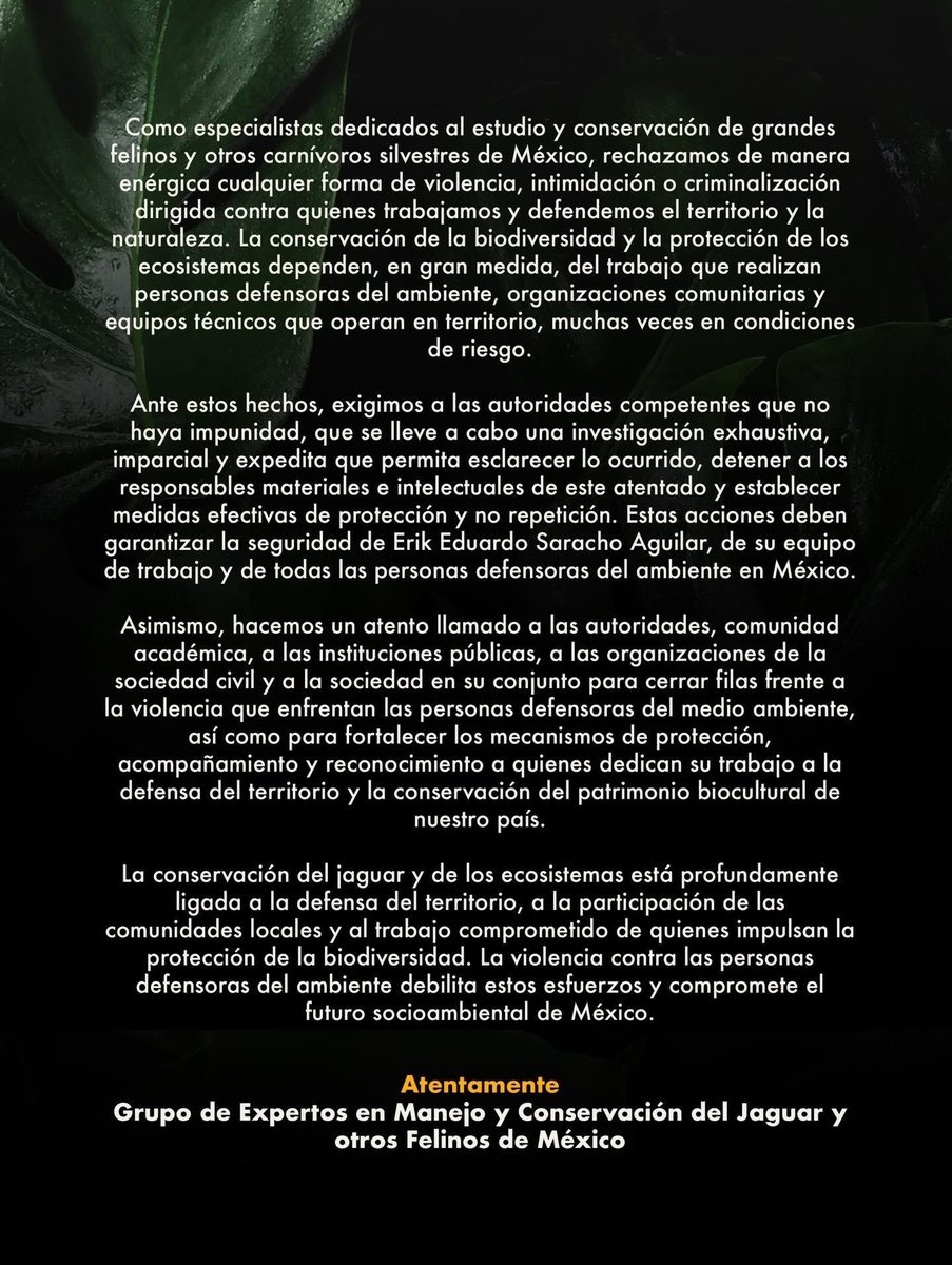 LupitaJuarez tweet media