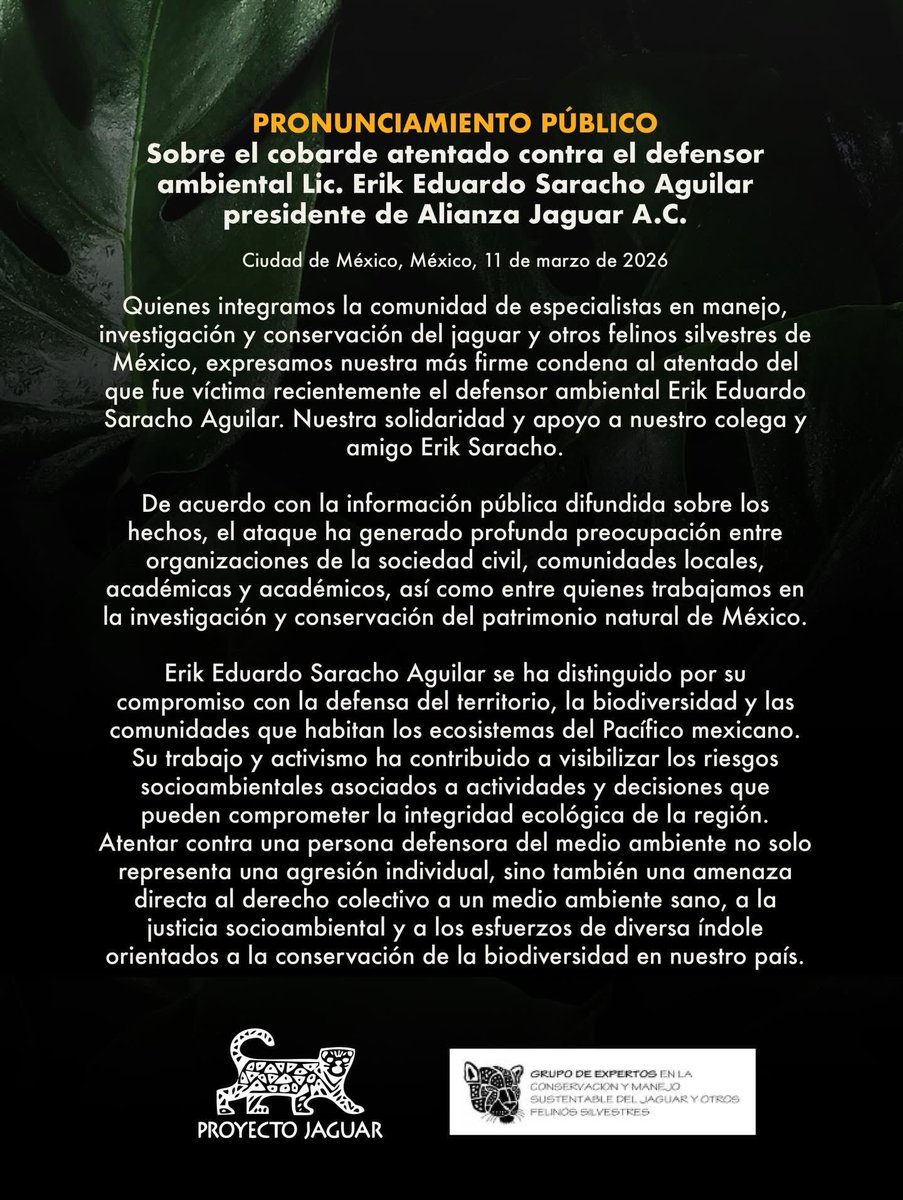 LupitaJuarez tweet media