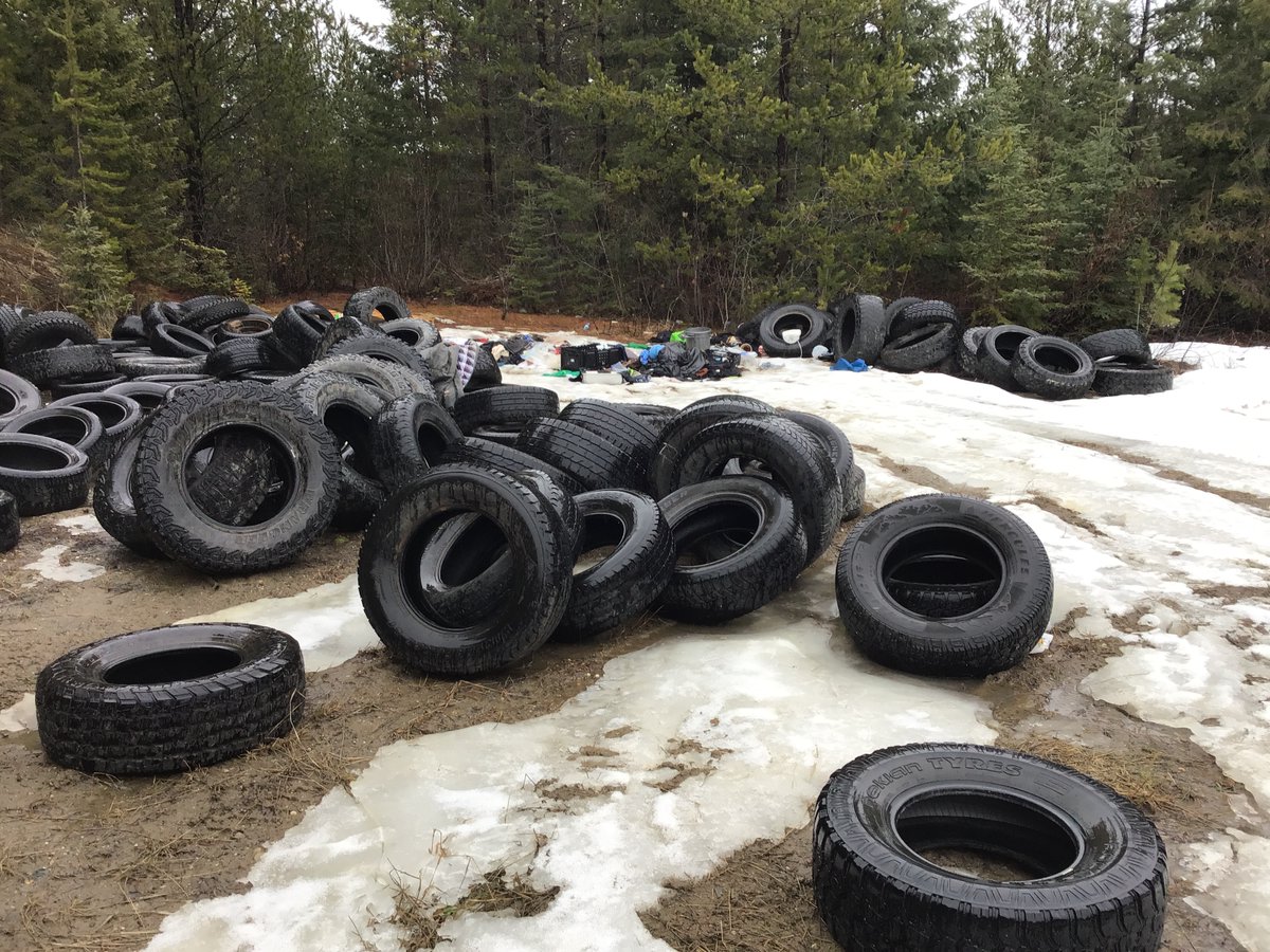 BC CO Service tweet media