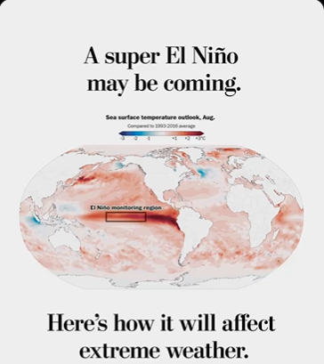 Daniel Subauste tweet media