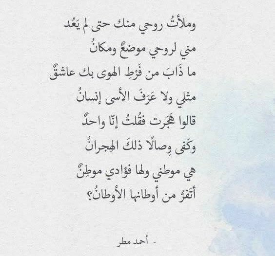 rowpapillon tweet media