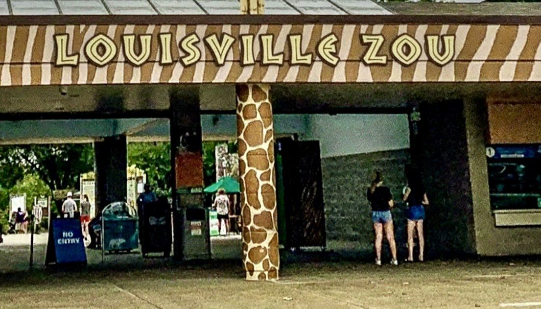 Cary Luckert tweet media