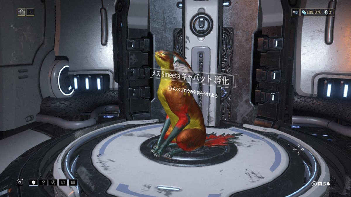 ゆらゆらり_Warframe tweet media