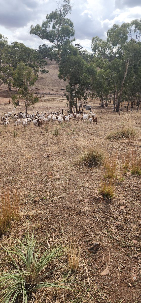 Andrew Smith tweet media