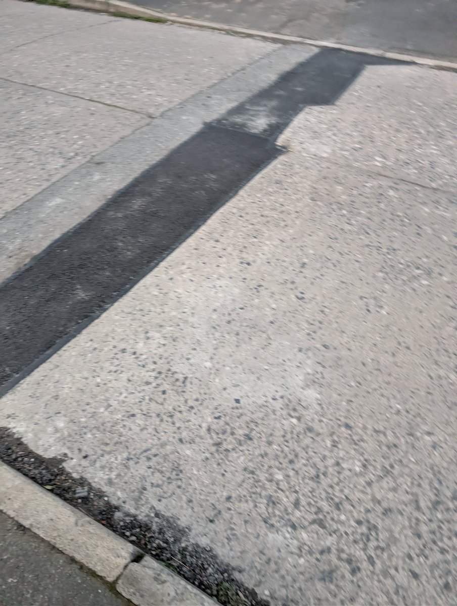 Kyle Dodd tweet media