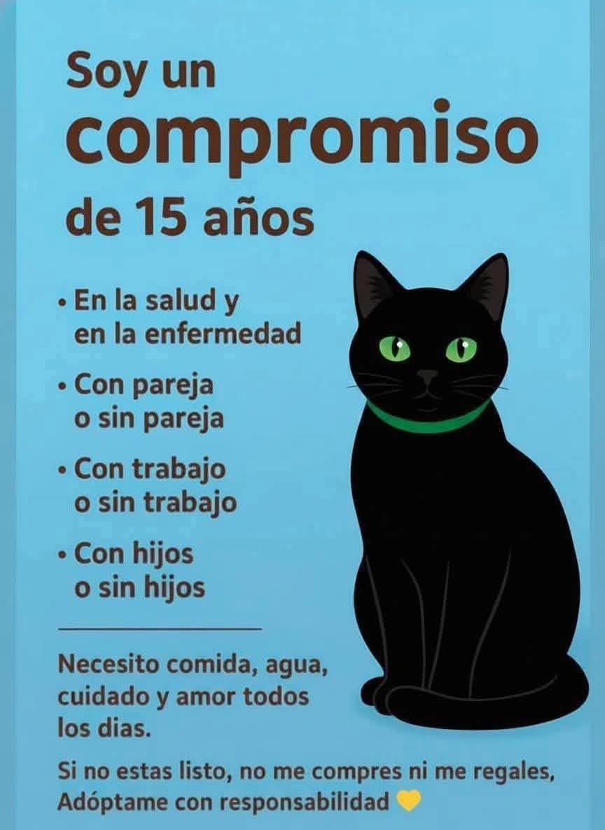 Sabueson tweet media