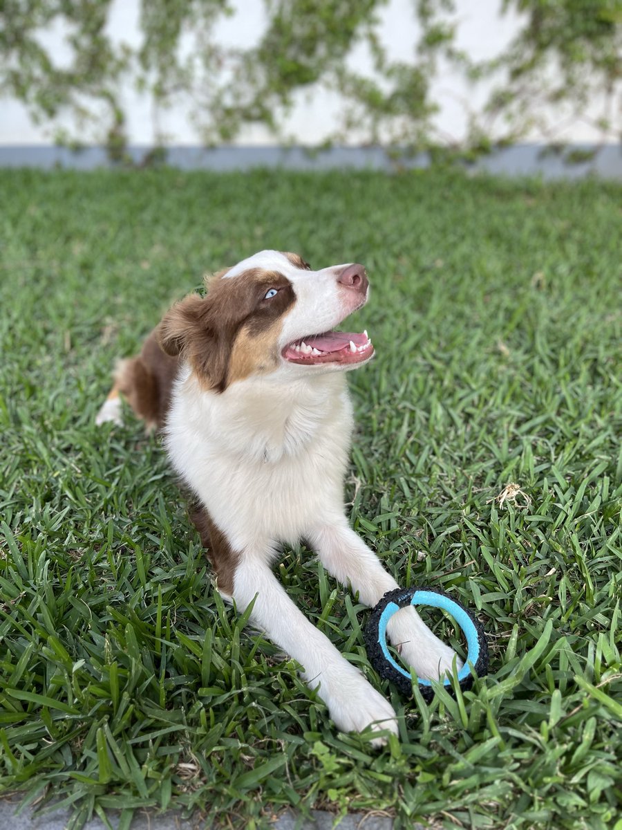 TodayDebating! tweet media