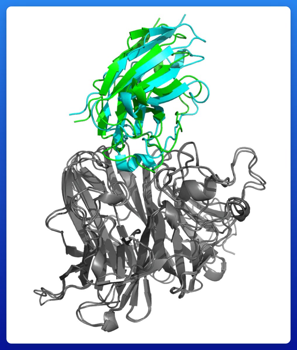 Elliot Hershberg tweet media