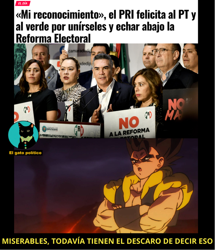 El gato político tweet media