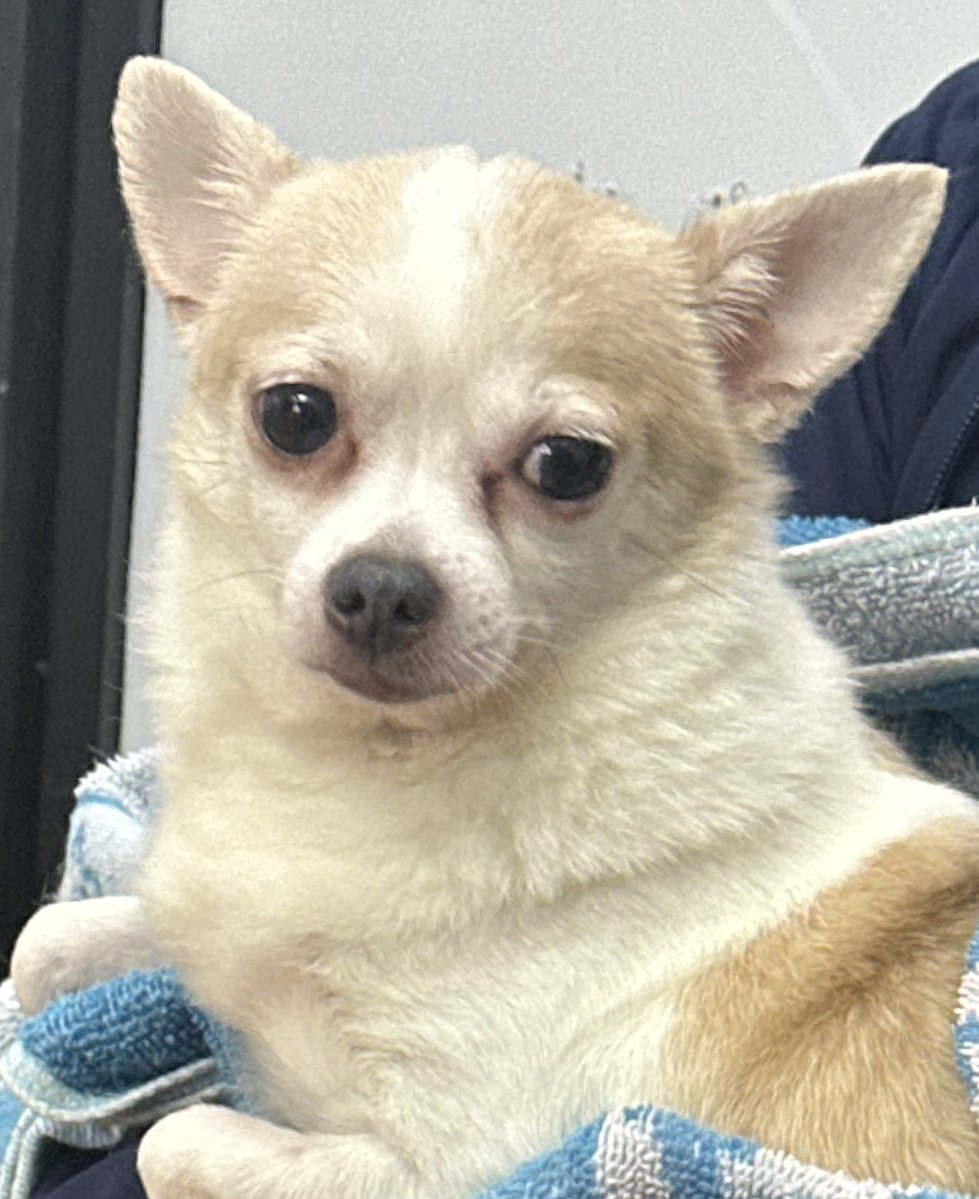 lai 🍀 tweet media