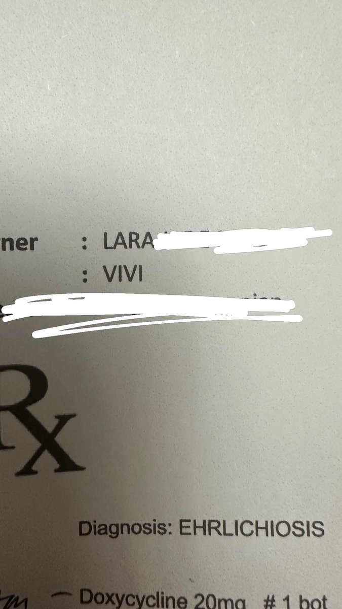 lai 🍀 tweet media