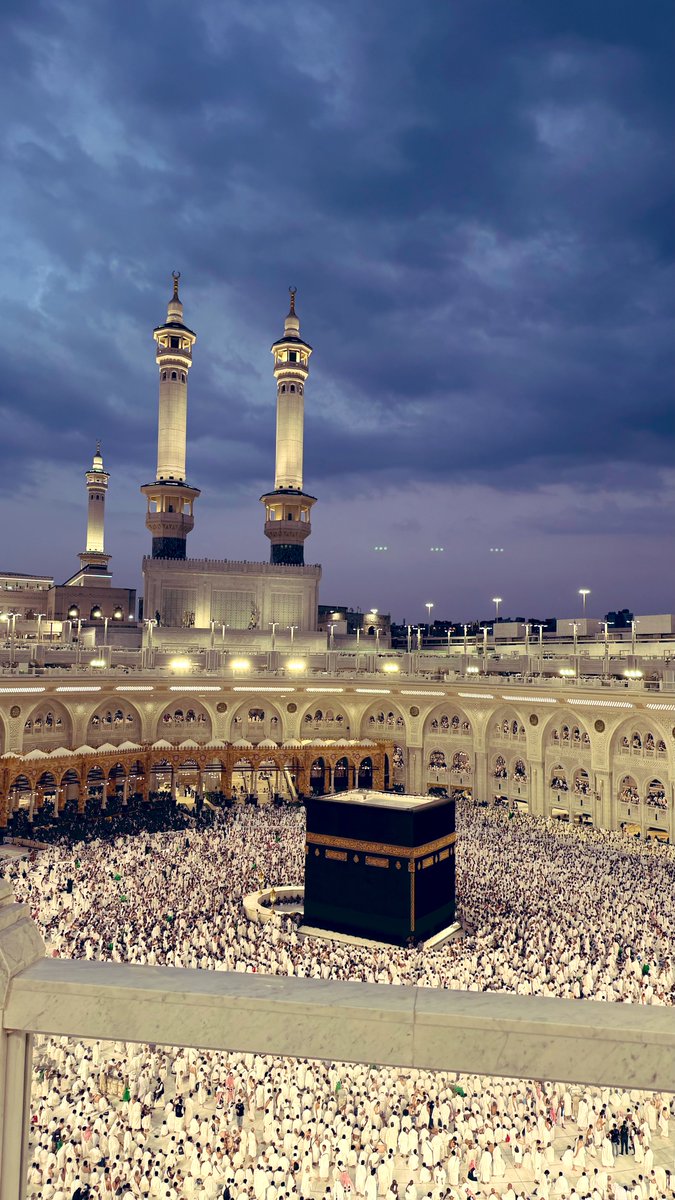 Mamine | محمد أمين tweet media