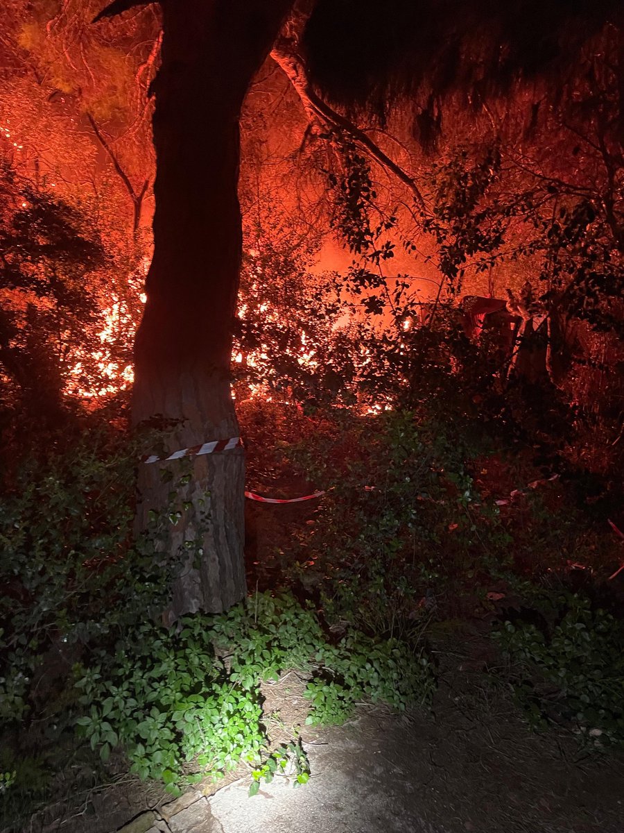 Policia Local Vilanova i la Geltrú ◼ ◼ ◼ ◼ tweet media