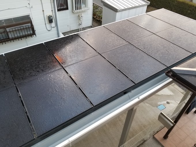 🌸Sakura Yae/八重 さくら🌸 tweet media