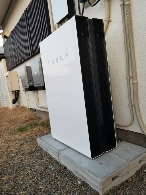 🌸Sakura Yae/八重 さくら🌸 tweet media