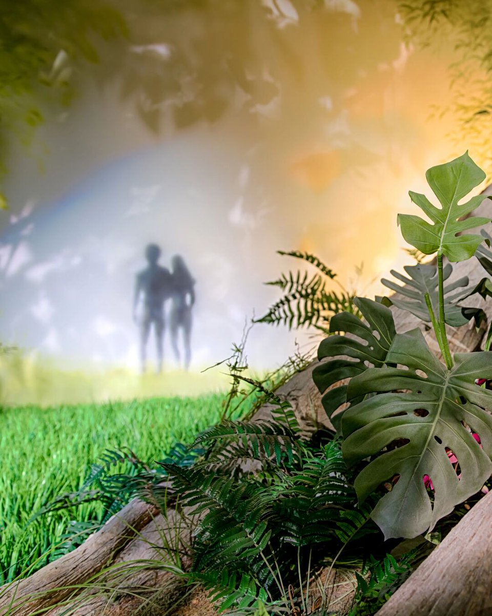 Creation Museum tweet media