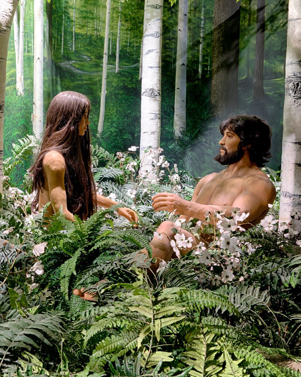 Creation Museum tweet media