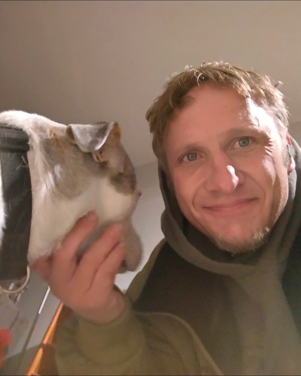 SPCA International tweet media