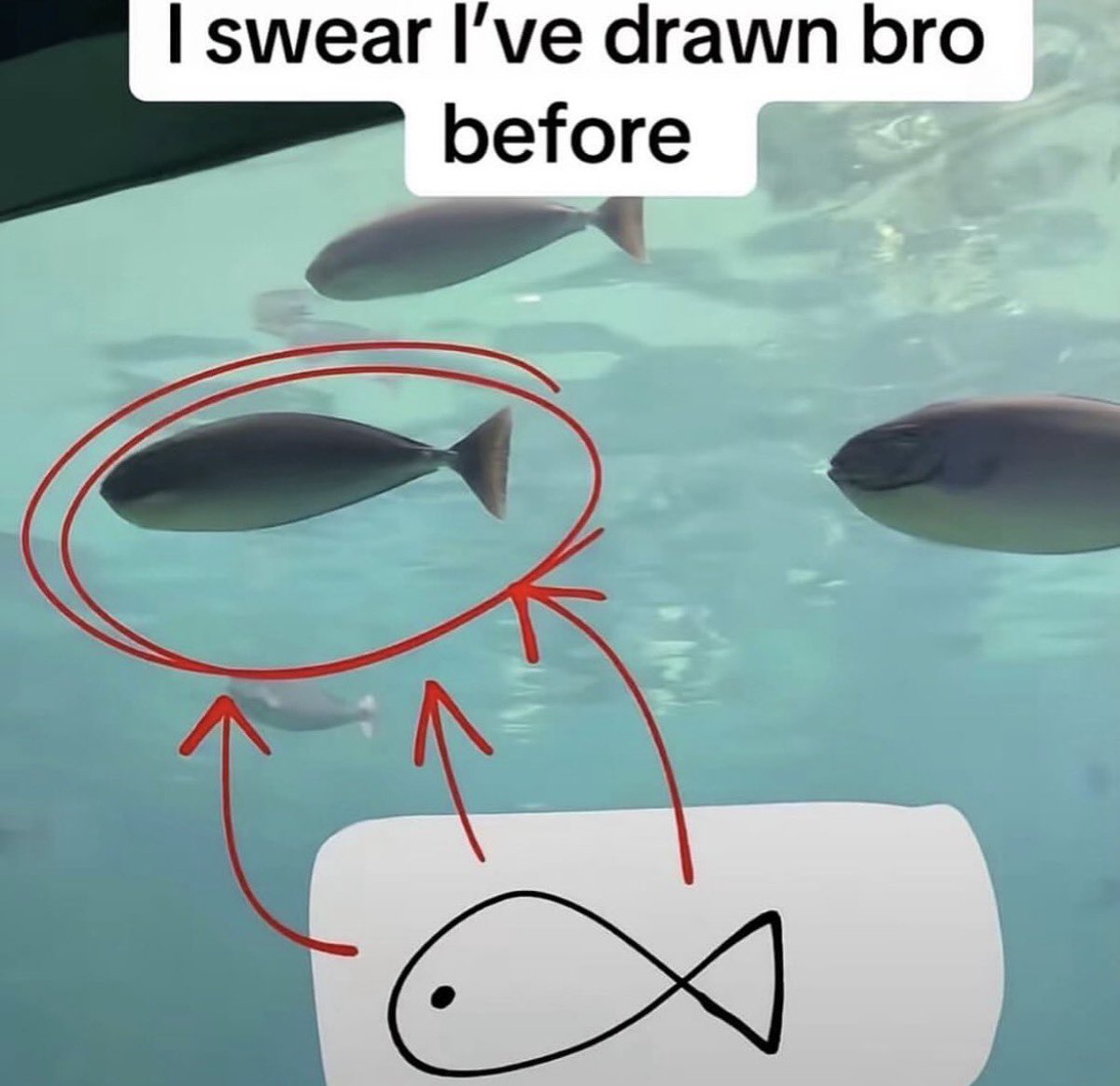 mor (@moristiko) on Twitter photo 