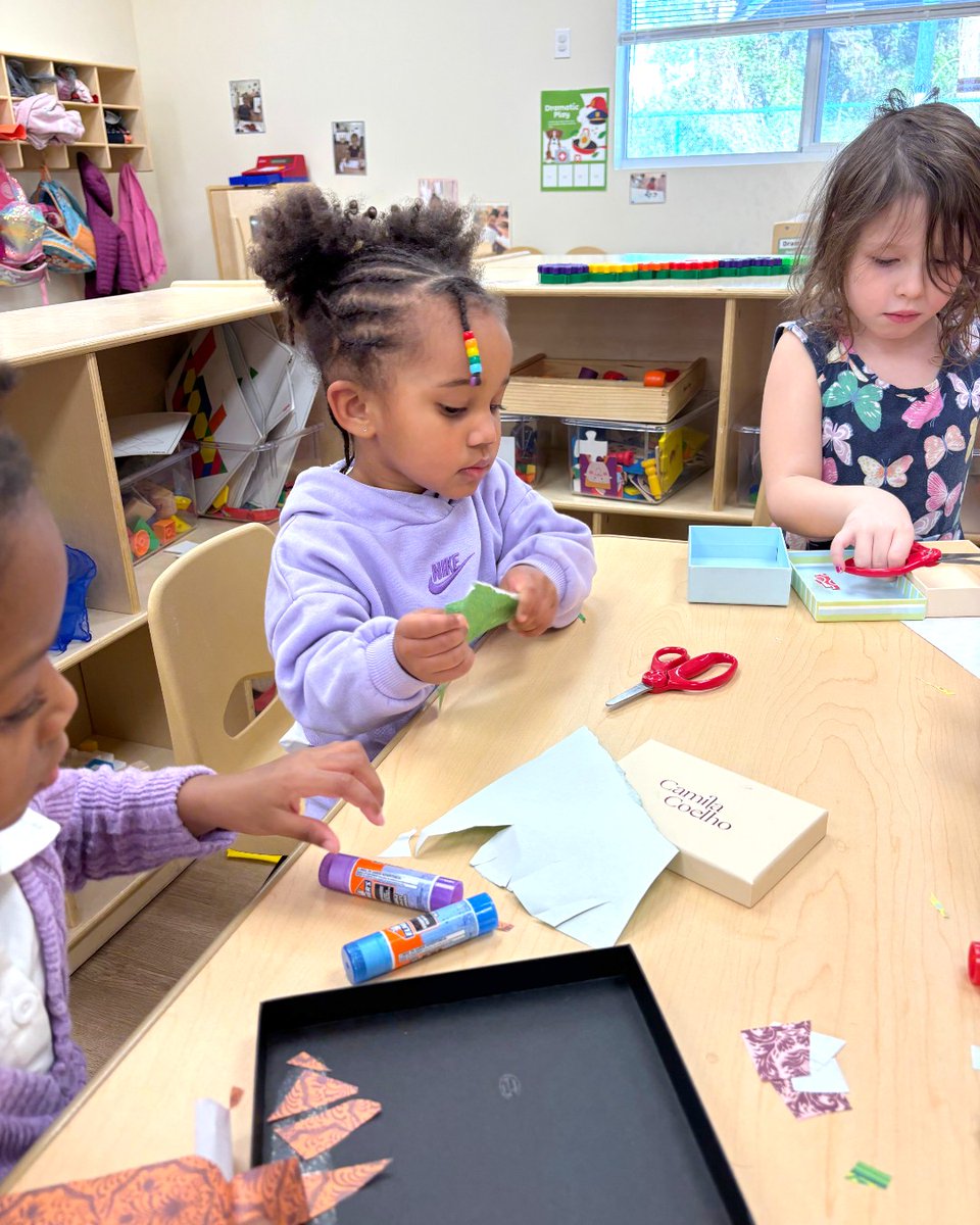 The Sunshine House tweet media