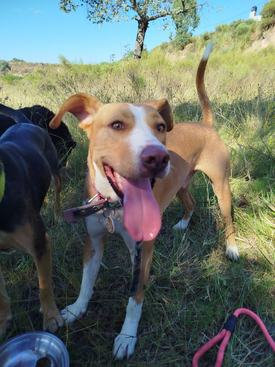 Increíble lo que amo a este deforme que se porta como el culo