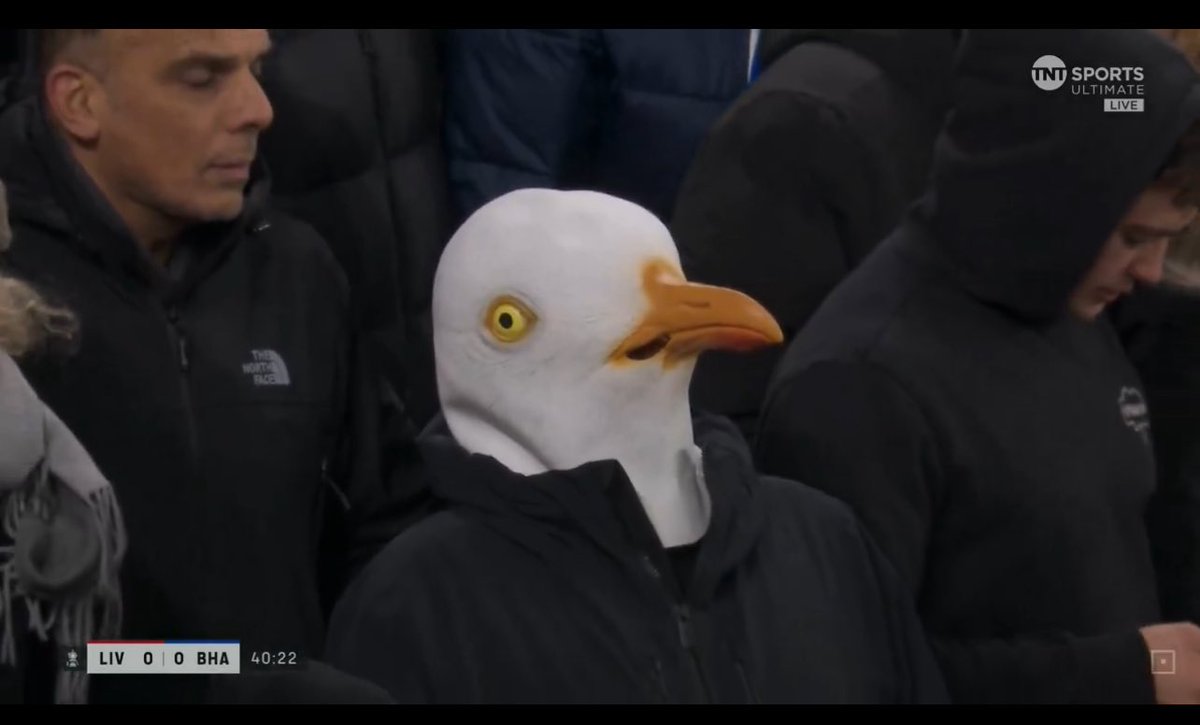 ozzy♌️ tweet media