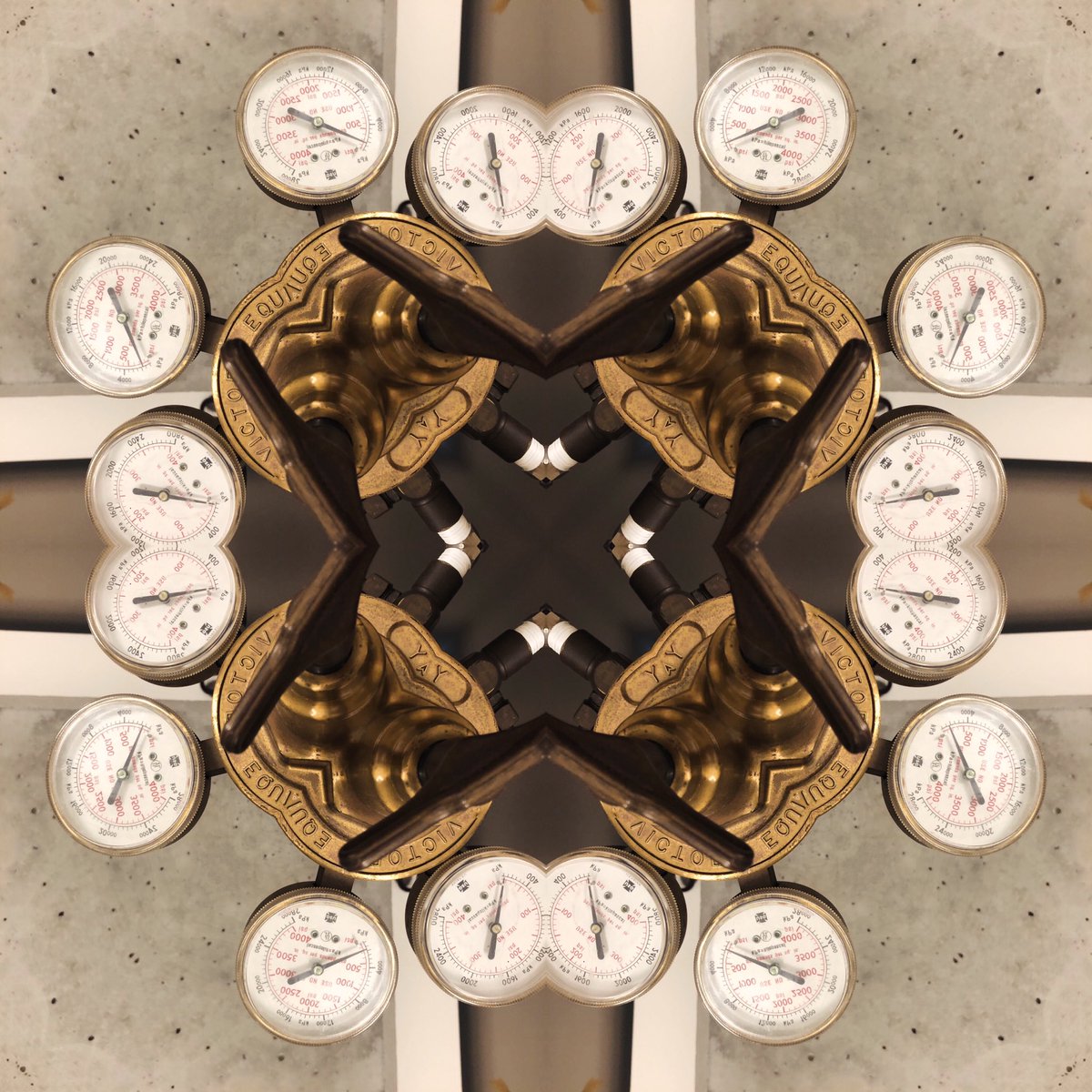 Brother12 tweet media