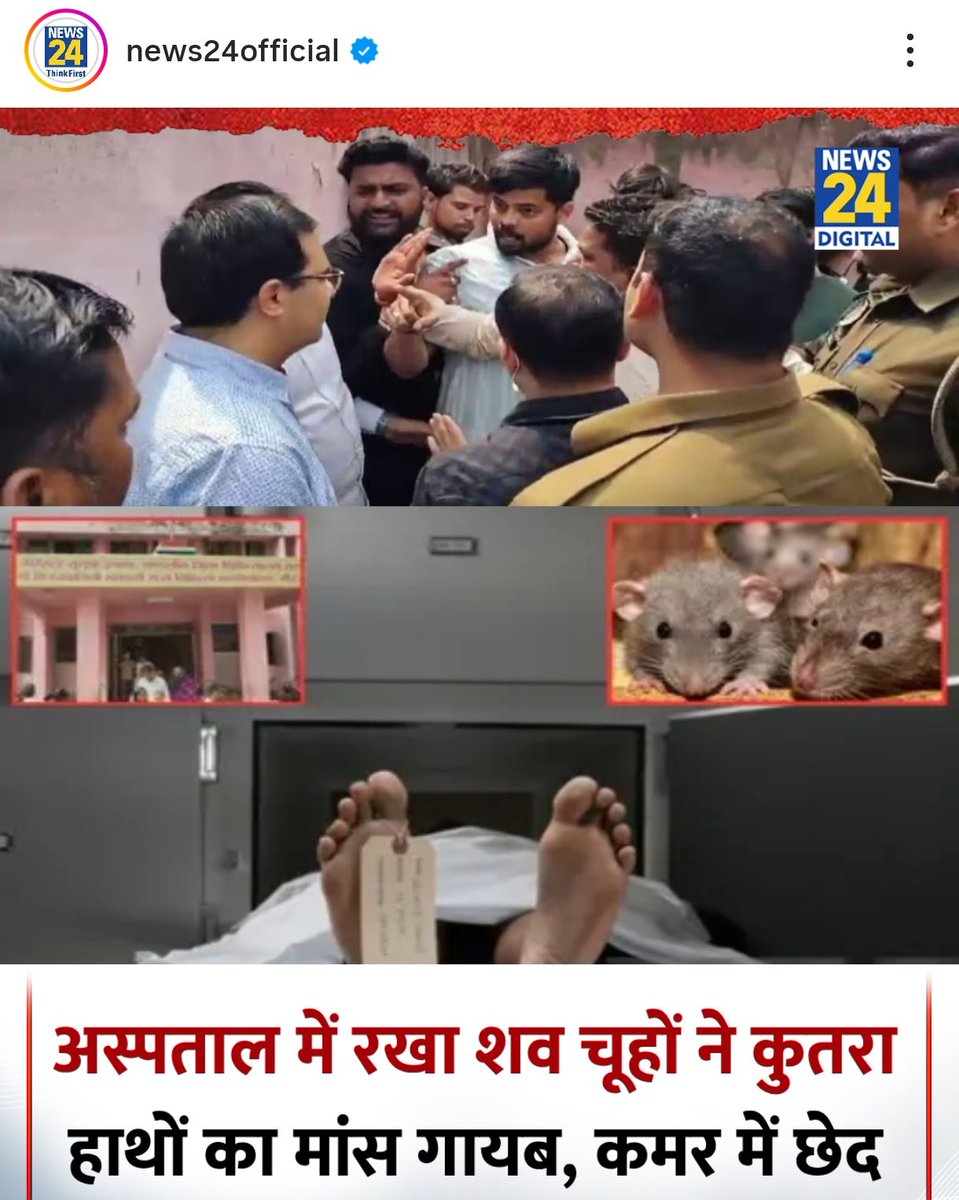 khurpenchh's tweet photo. उत्तर प्रदेश सरकार से निवेदन है कि लाडली बहना, सयानी बहना, चतुर सरहज, बातूनी चाची जैसी योजना की तर्ज पर लाडली चुहिया, शैतान चूहा जैसी स्कीमें लाईं जाए,

ताकि ये चूहे लाश खाना बंद करदे, टैक्स पेयर्स तो दबा के पैसा दे ही रहे हैं।
📍मिर्जापुर ,यूपी। https://t.co/kEeblrm0fi