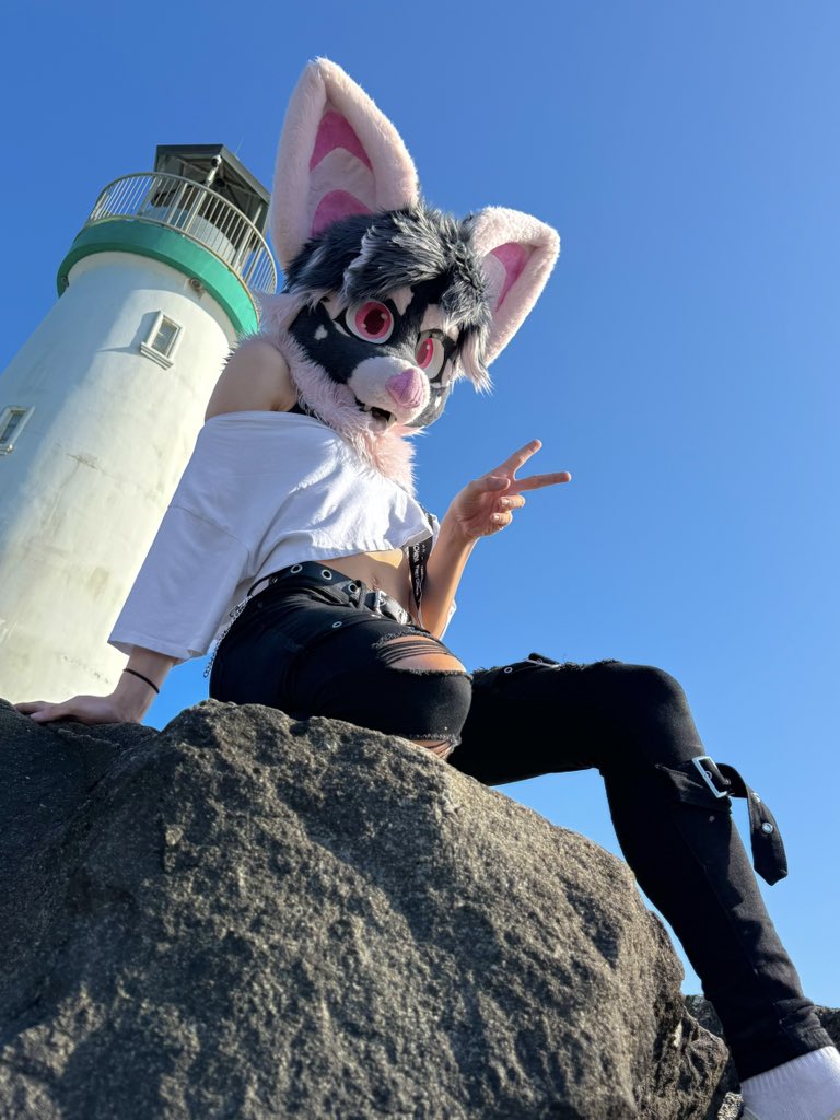 Shiloh 🦇 🔜 FurDU tweet media