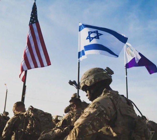 Crypto Rover tweet media