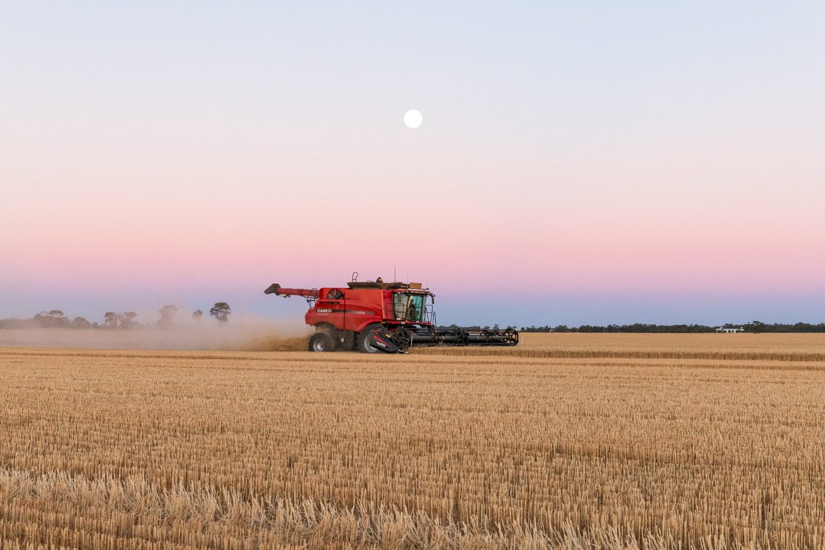 Victorian Farmers Federation (VFF) tweet media