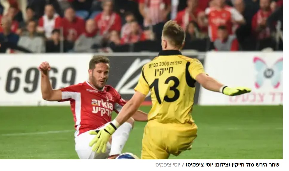 Eden Roitfarb tweet media