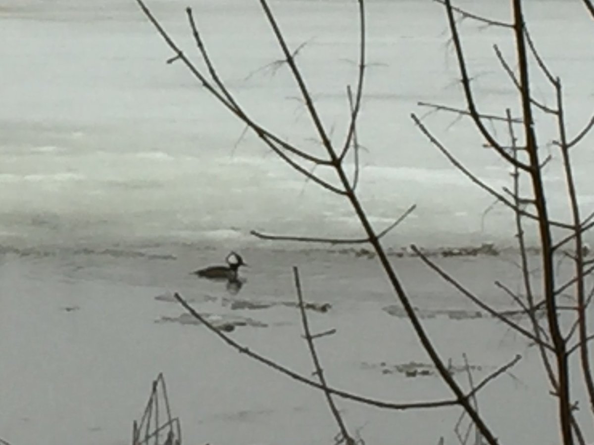 Michael Jacobs tweet media