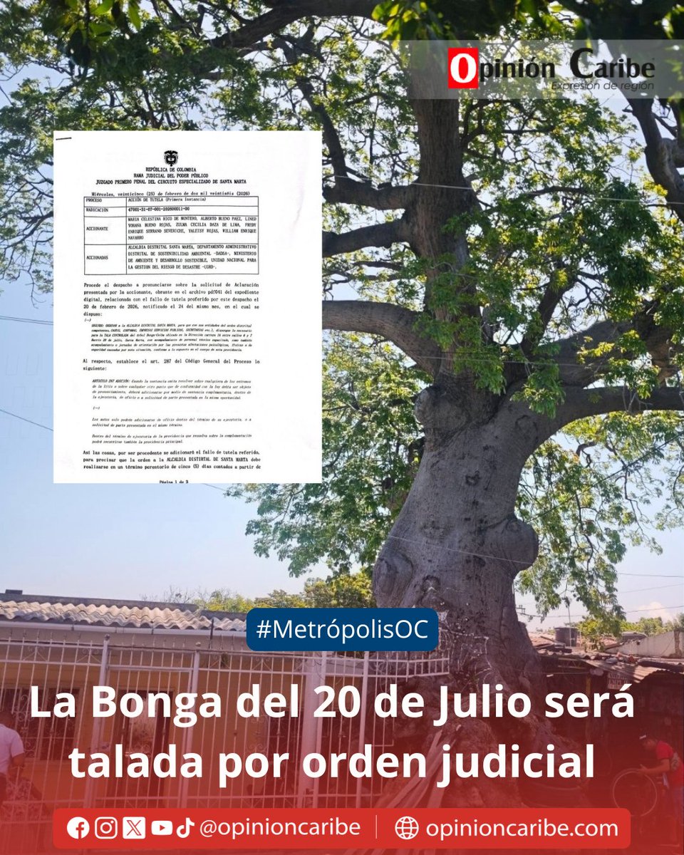 Opinión Caribe tweet media