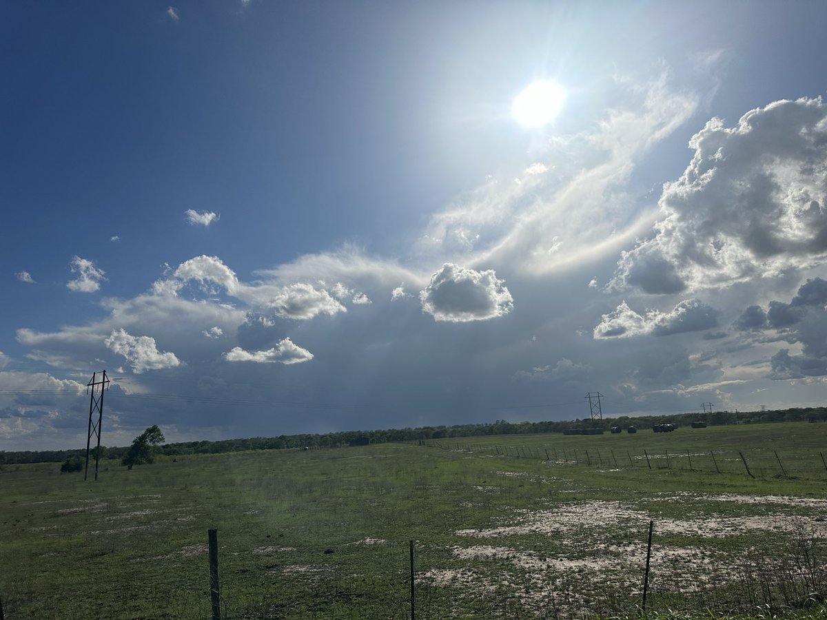 Bob Pack tweet media